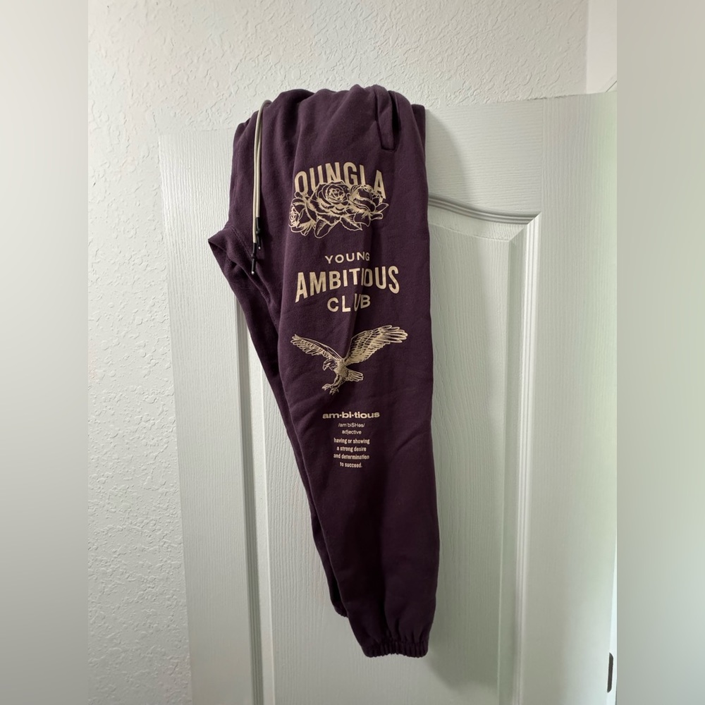 YoungLA Immortal Joggers Size Large L Plum Perfect